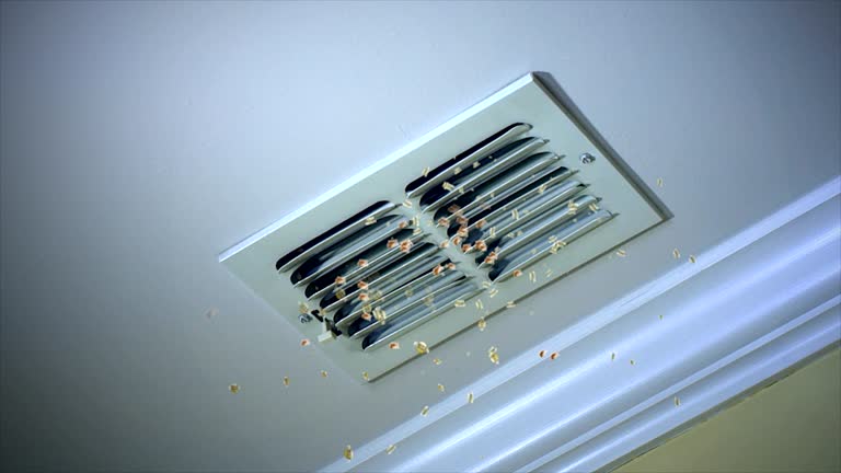 Best Air Vent Cleaning Services  in Park City, TN