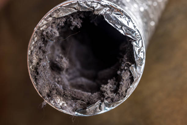 Best HVAC Maintenance and Cleaning  in Park City, TN