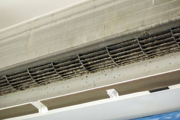 Best Affordable Air Duct Cleaning  in Park City, TN